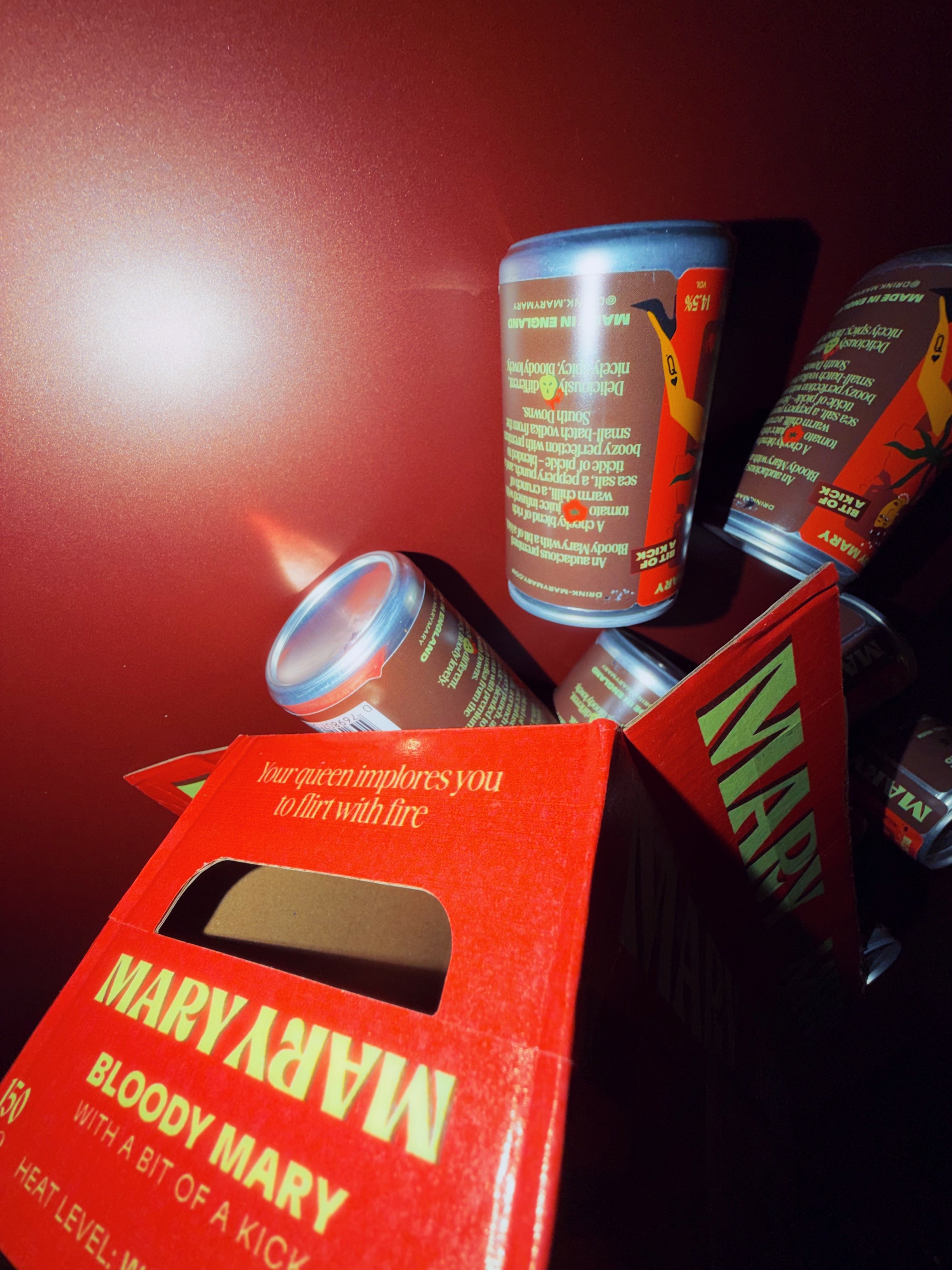 Bloody Mary: Bit of a Kick | 12 PACK – Mary Mary